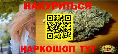 спиды Новозыбков