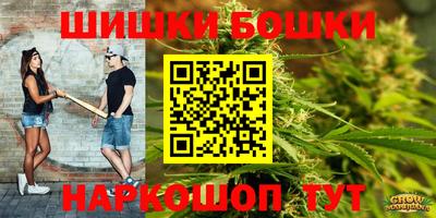 спиды Новозыбков