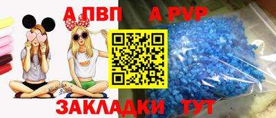 спиды Новозыбков