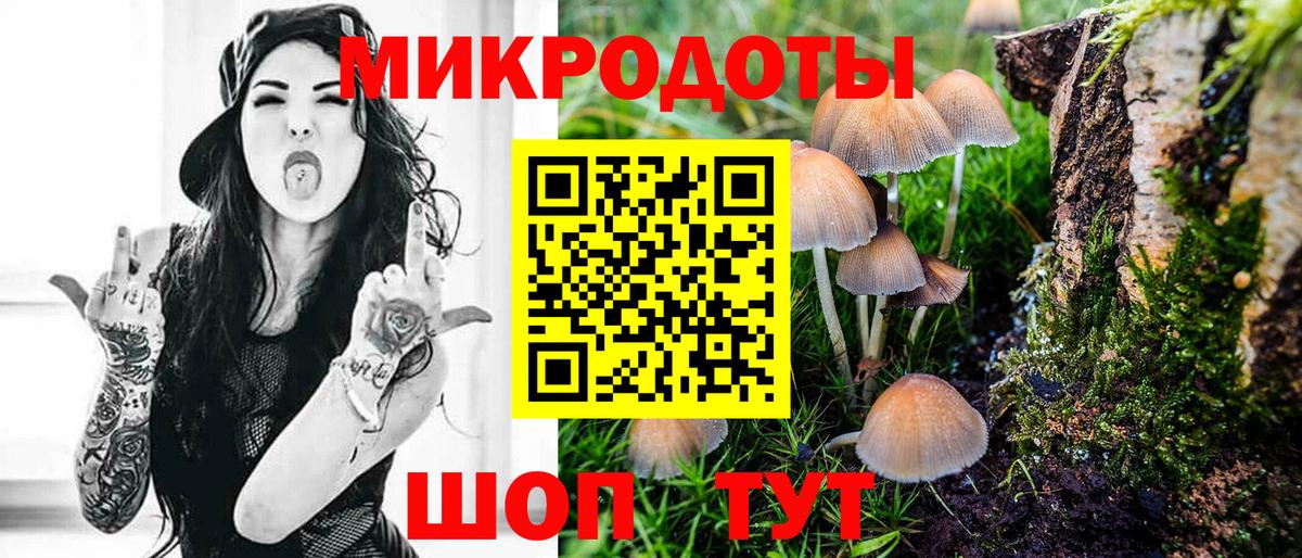 Псилоцибиновые грибы ЛСД Анапа